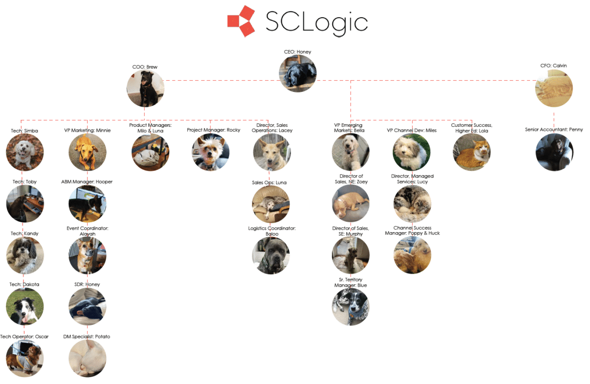 sclogic-s-pet-organizational-chart-in-building-logistics-software